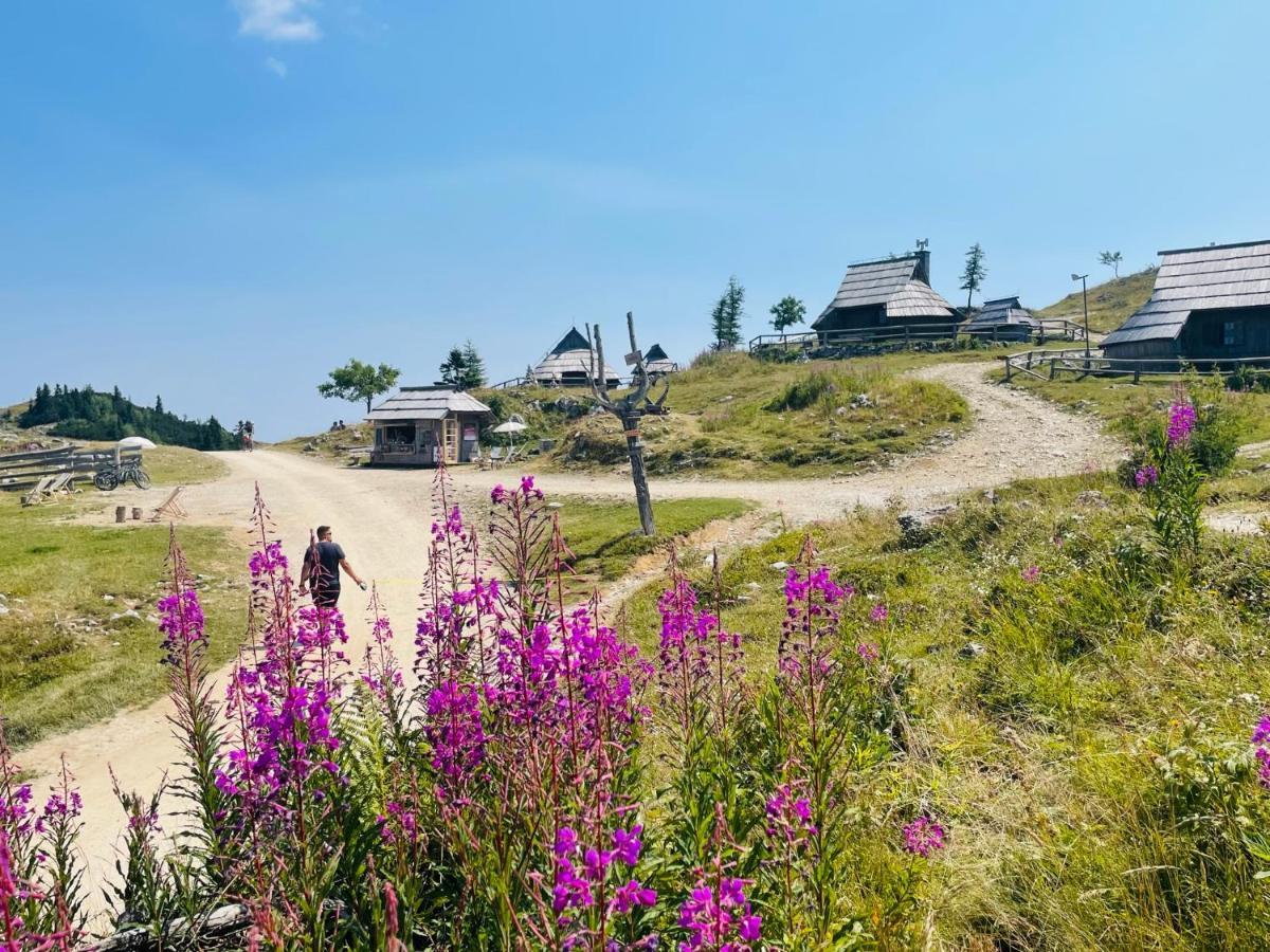 Velika Planina Koca Kekec Villa Stahovica Exteriör bild