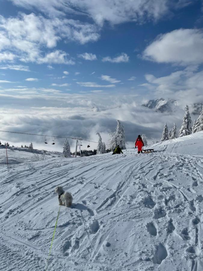 Velika Planina Koca Kekec Villa Stahovica Exteriör bild